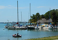 Sarasota in Florida. Foto: lydia_flick/pixabay
