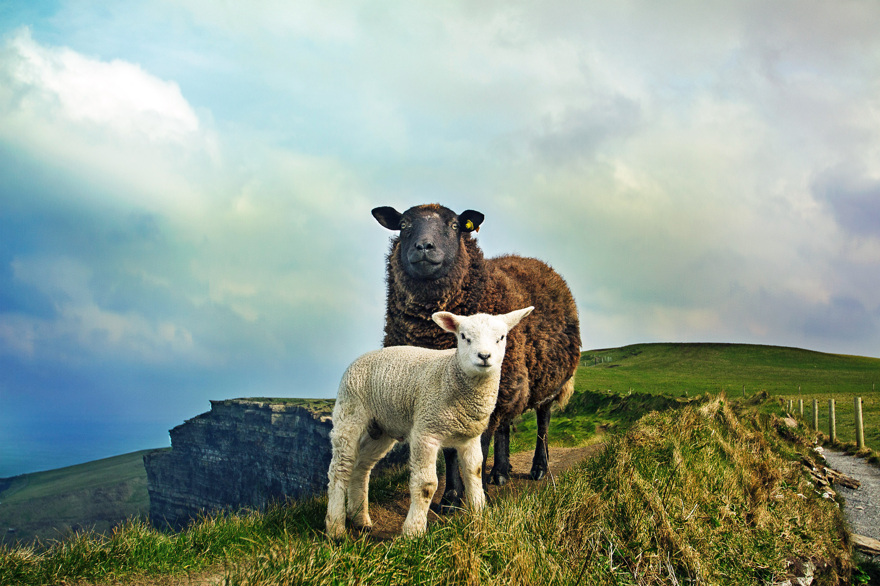 Irland – Kurs 1: Willkommen auf der grünen Insel!