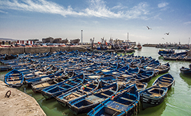 Marokko – Kurs 2: Essaouira Marokko – Kurs 2: Essaouira