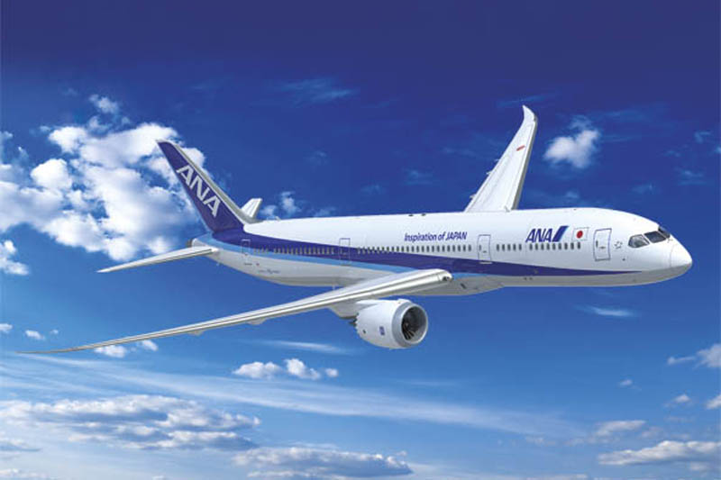 Japan-Experte werden und ANA-Tickets sichern