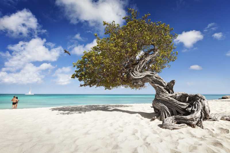 Aruba - Das "One Happy Island" Aruba - Das "One Happy Island"