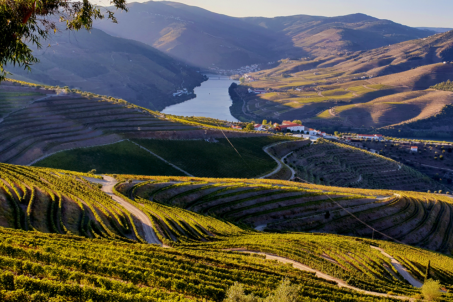 Heimat des Portweins: Das Douro-Tal zählt zu den ältesten und größten Weinanbaugebieten der Welt